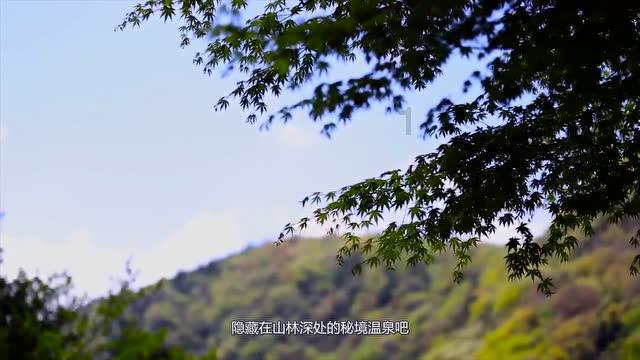 200千克等于多少公顷?-最佳的有问必答平台网页
